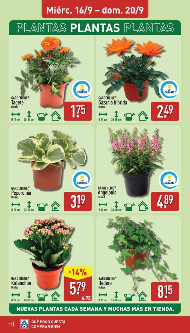 Folleto Aldi – página 16 de 33