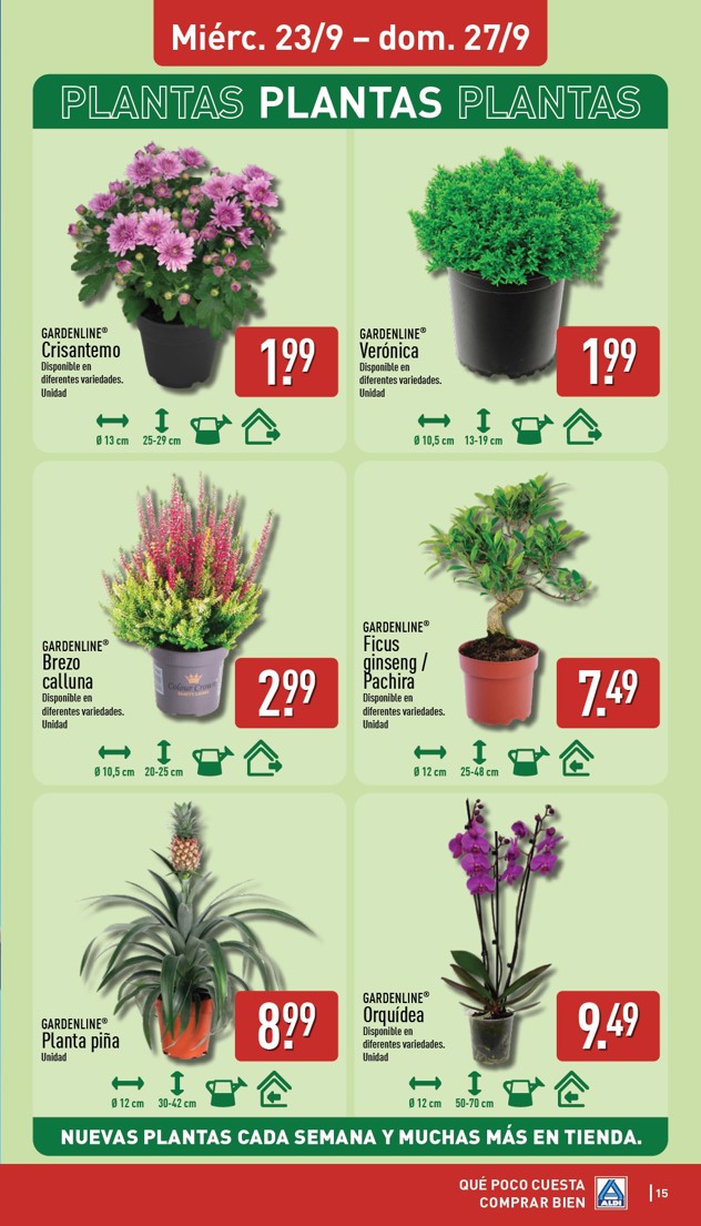 Folleto Aldi – página 15 de 28
