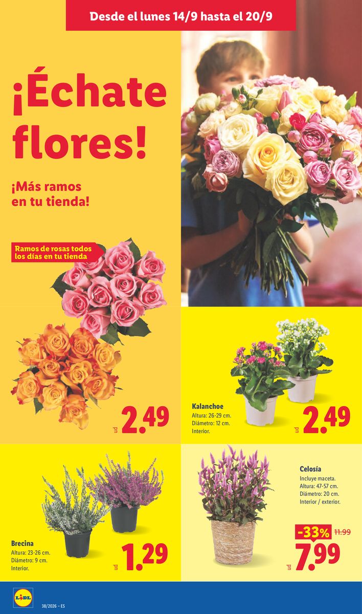 Folleto Lidl – página 52 de 53